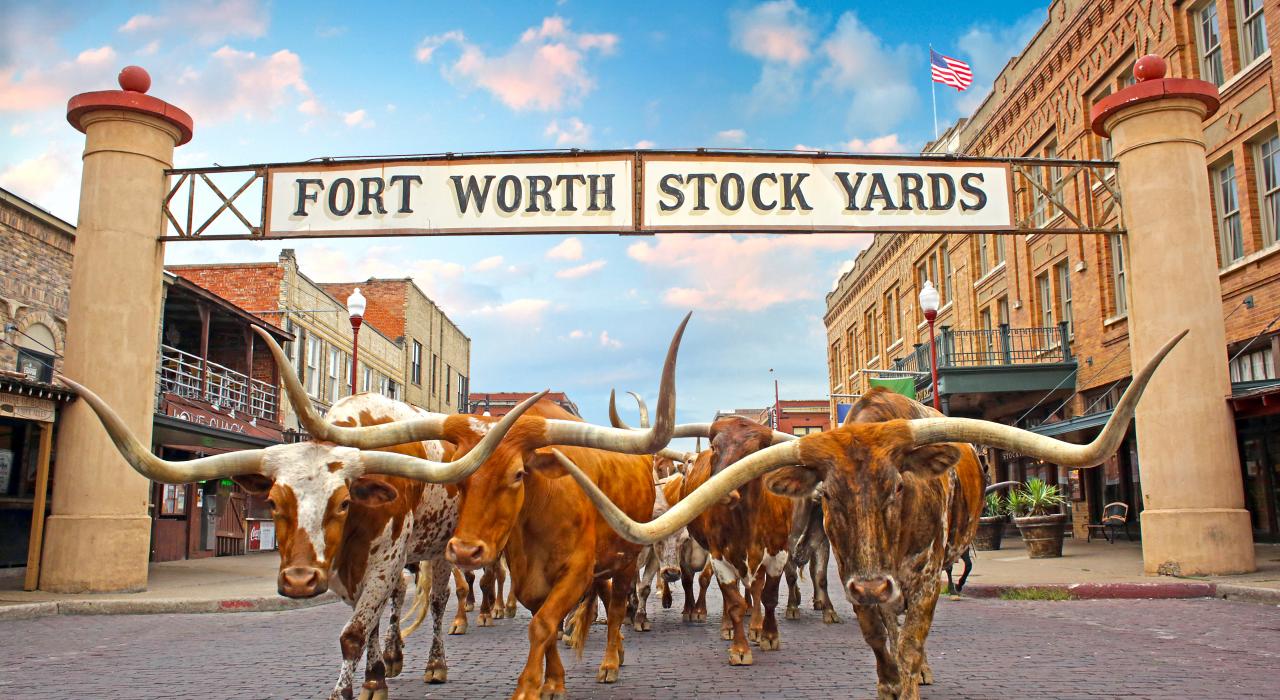 Fort Worth Probate Realtor